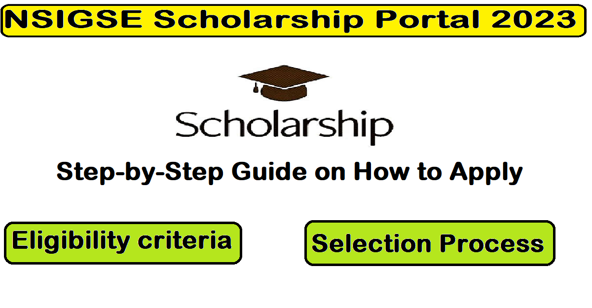 NSIGSE Scholarship Portal 2023 Step-by-Step Guide on How to Apply